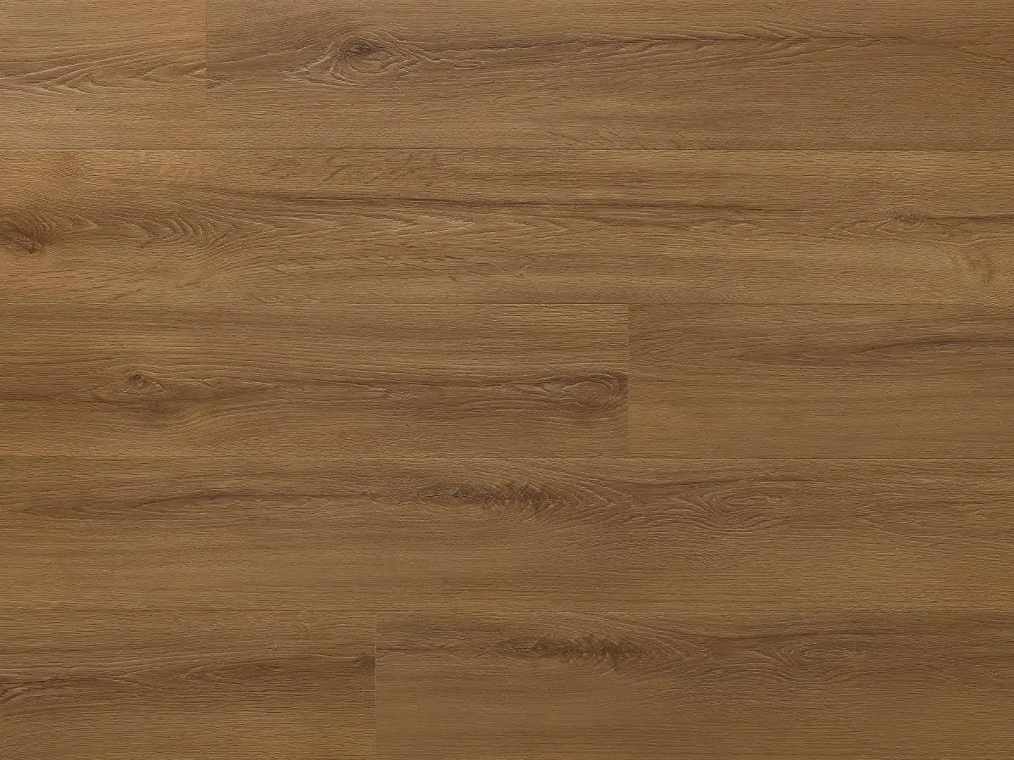 Arbiton Amaron Wood Dryback Dąb Rochester - zdjęcie 1