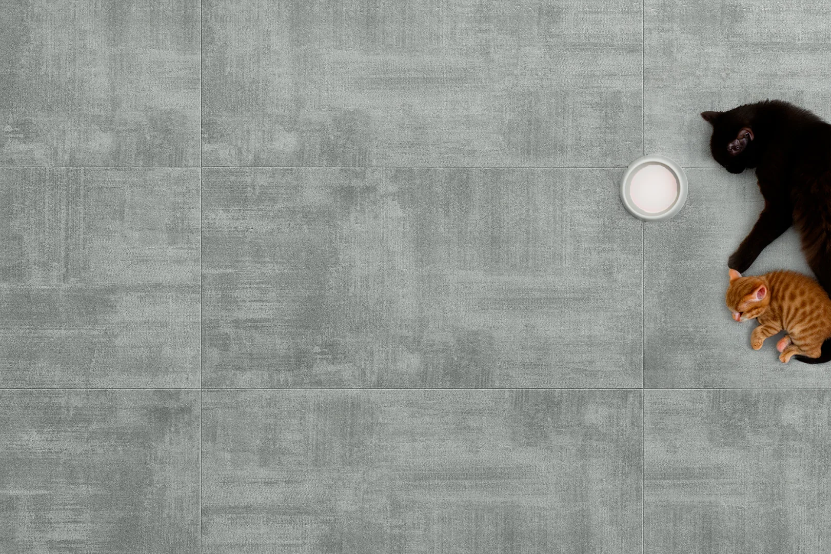 Arbiton Amaron Forma Amadora Grey - zdjęcie 2