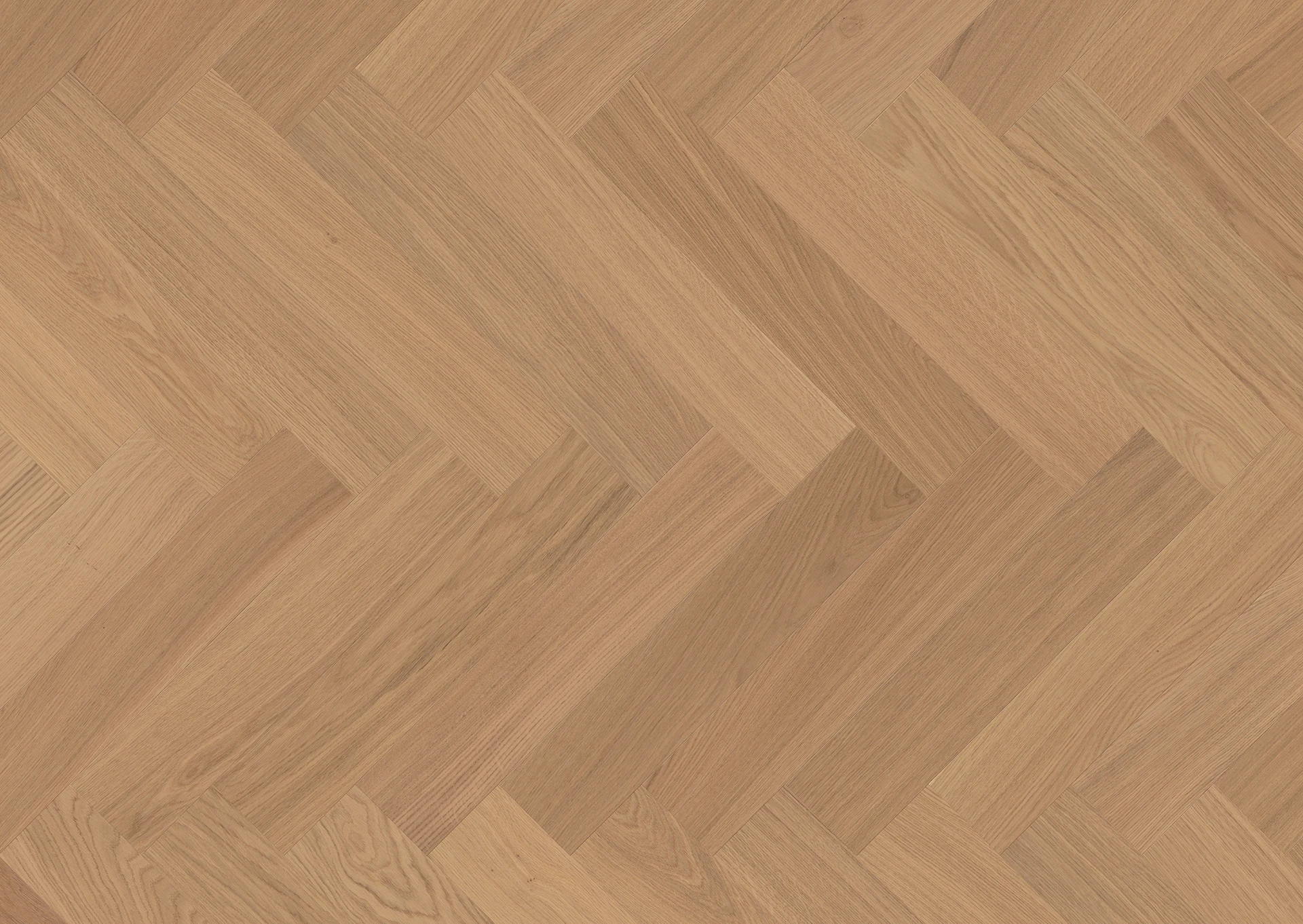 Barlinek Smart Wood Jodła 126 Dąb Essenza Estetic Barlinek Warszawa