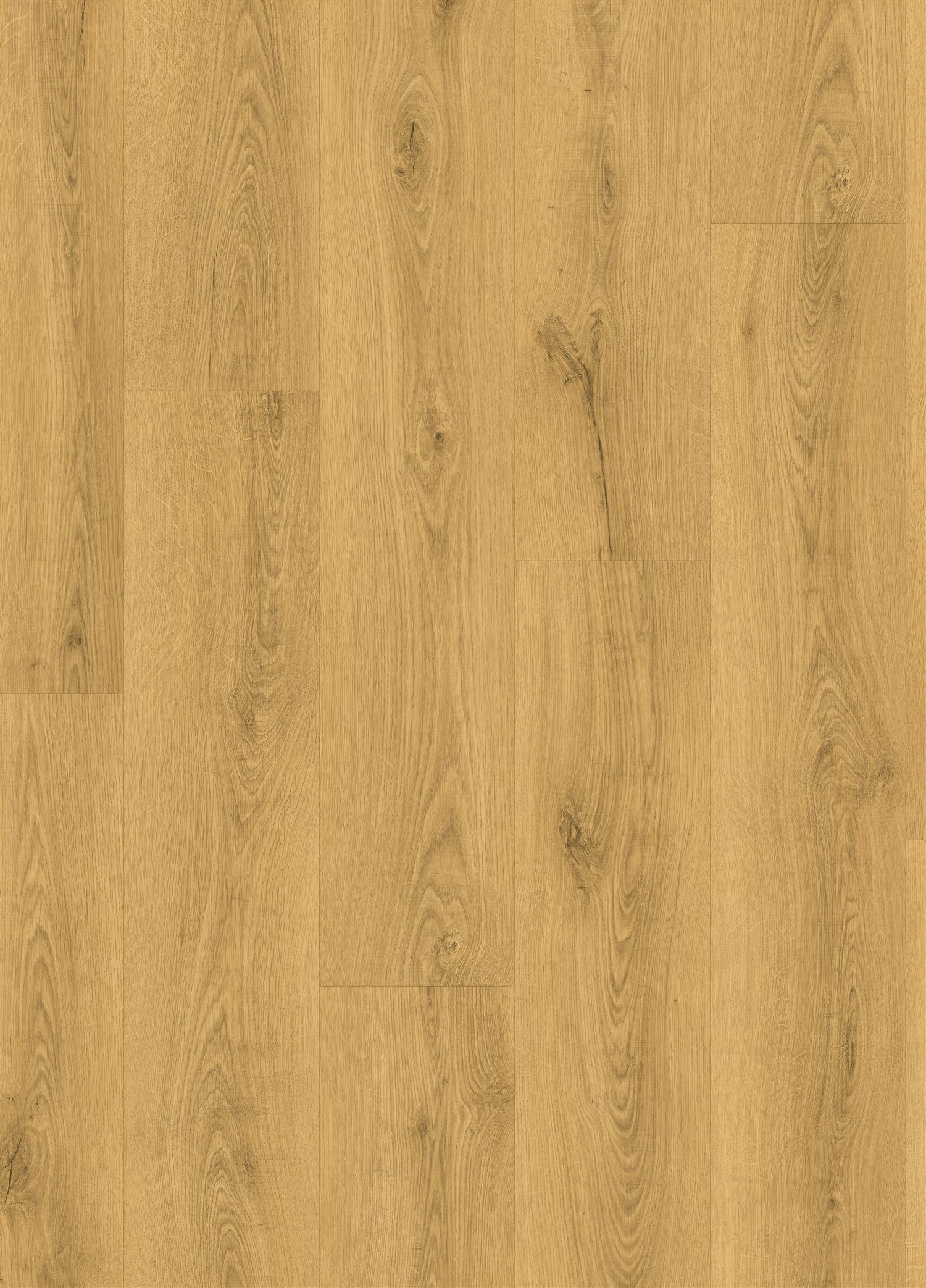 Quick-Step Classic CLM5787 Dąb Klasyczny Jasny - zdjęcie 1