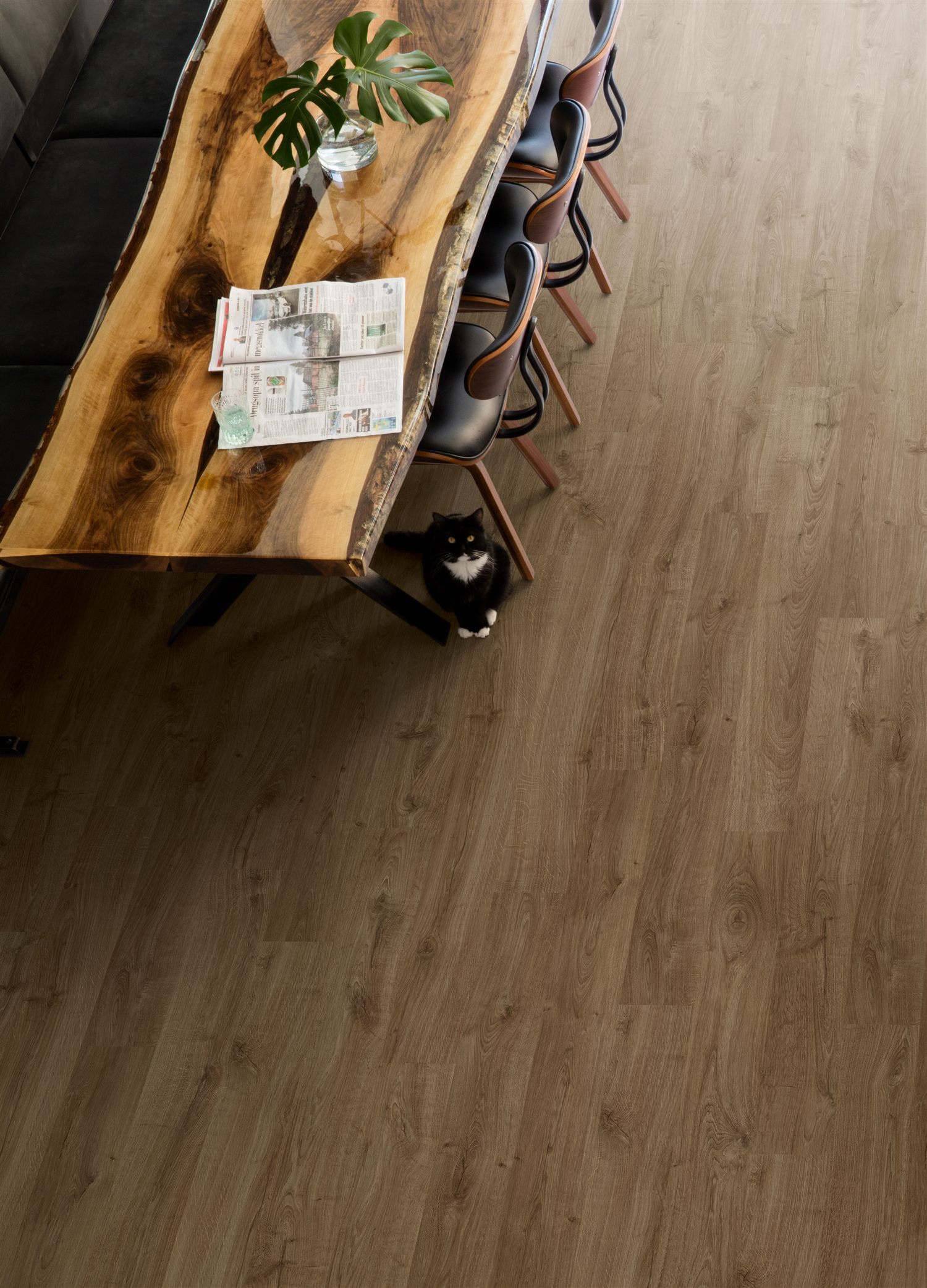 Quick-Step Eligna EL3582 Dąb Newcastle Brązowy - zdjęcie 4