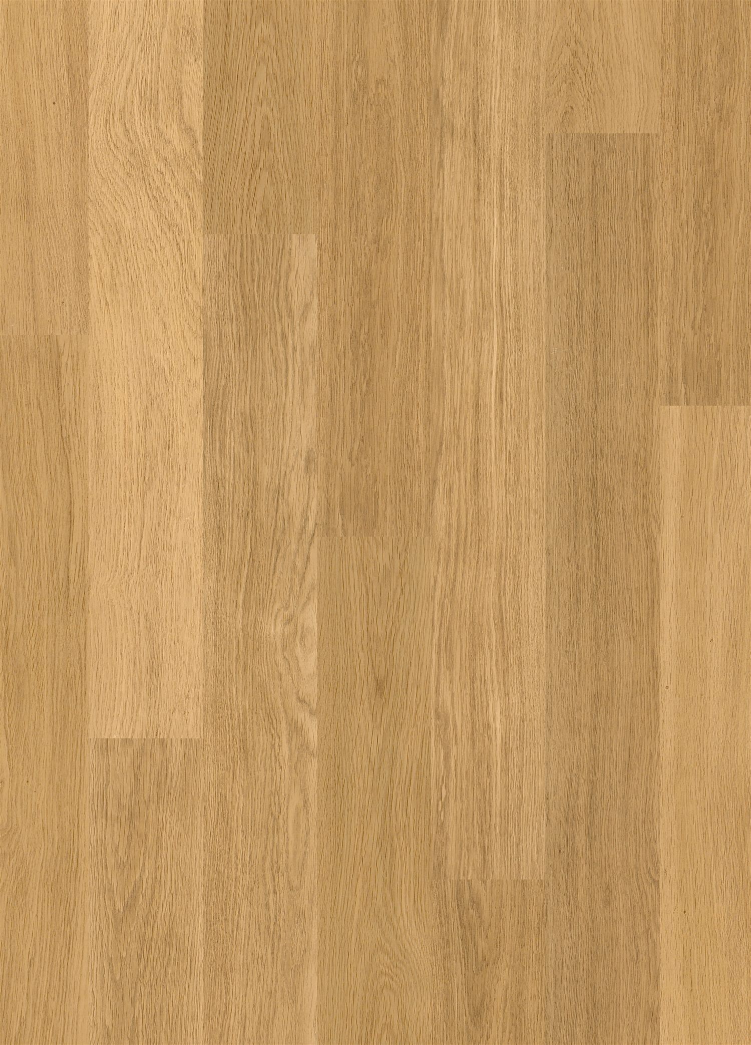Quick-Step Eligna EL896 Dąb Naturalny Satynowy - zdjęcie 1