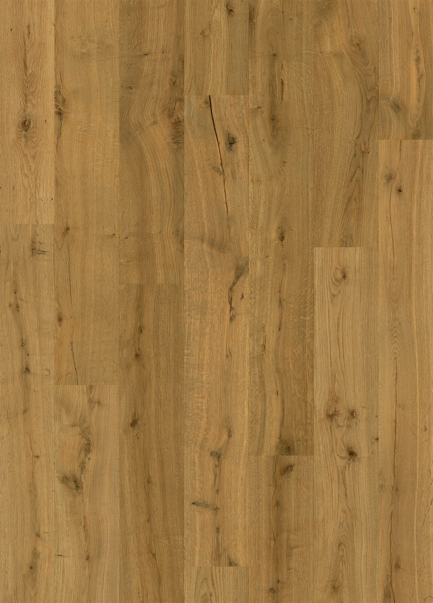 Quick-Step Impressive IM8256 Dąb Truflowy - zdjęcie 1