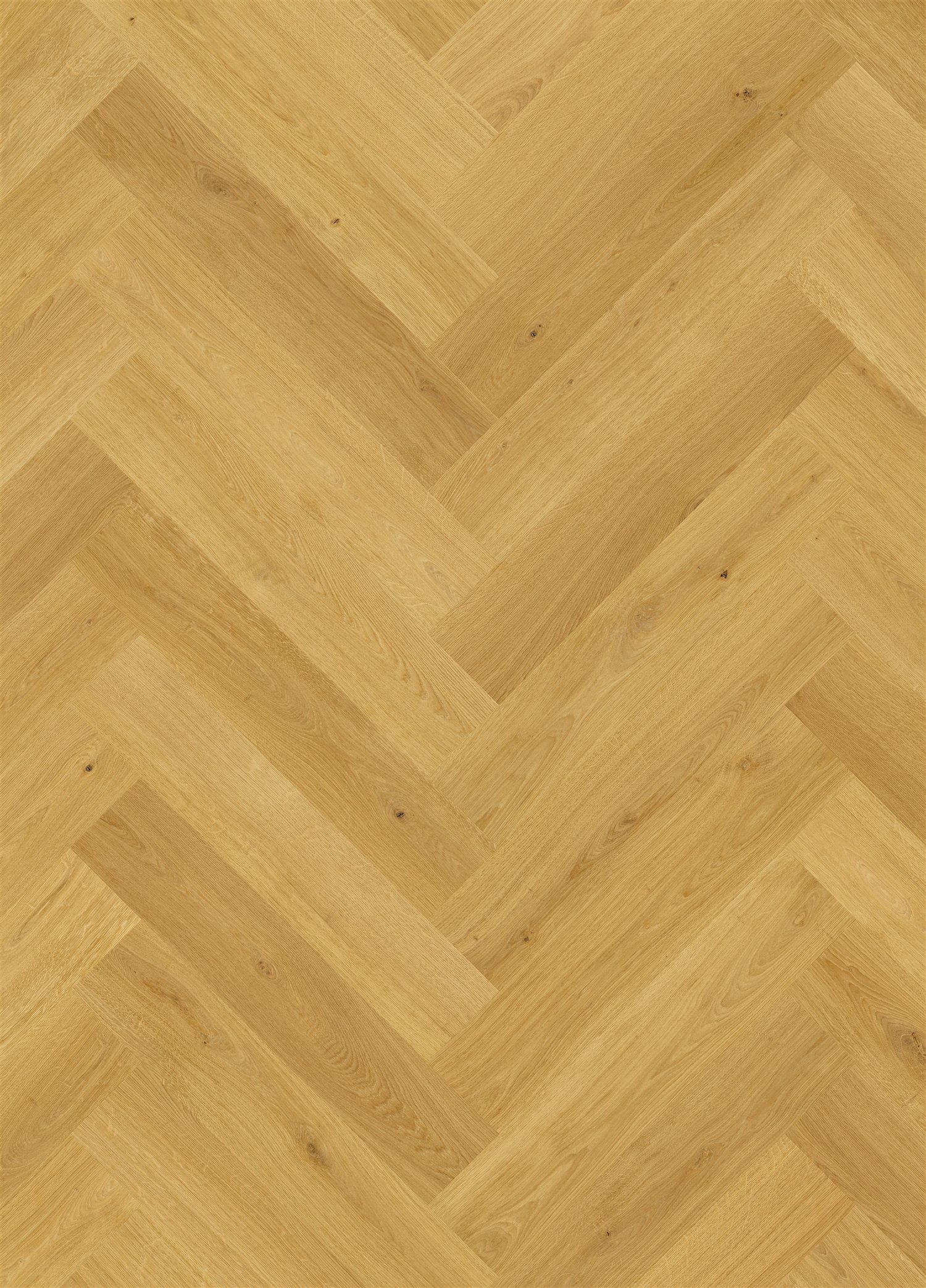 Quick-Step Impressive Design IMD8247 Dąb Kuminowy - zdjęcie 1