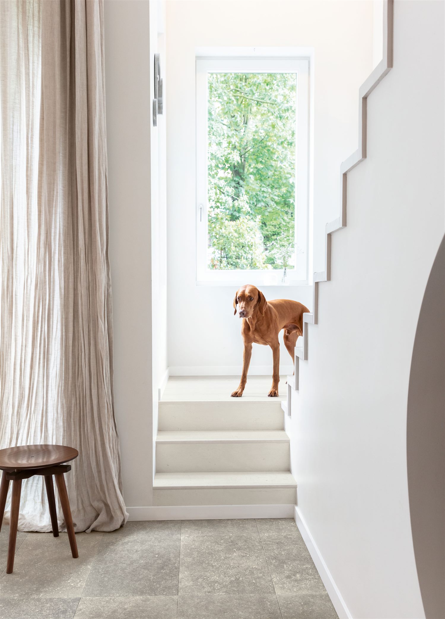 Quick-Step Muse MUS5485 Ciemny Kamień Bluestone - zdjęcie 6