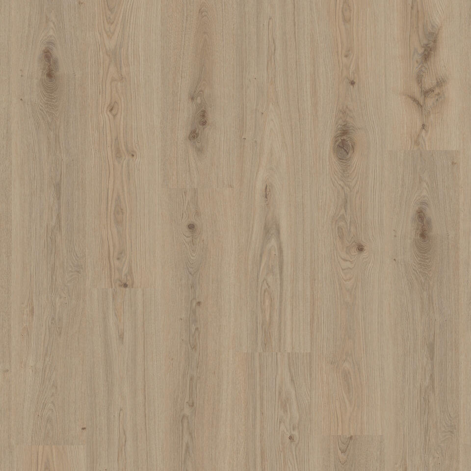 Tarkett Elegance Rigid Dąb Delicate Natural Tarkett Warszawa